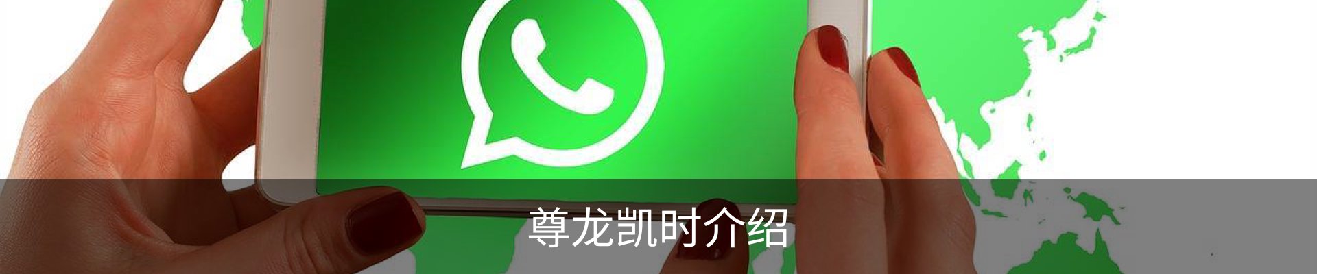 尊龙凯时介绍